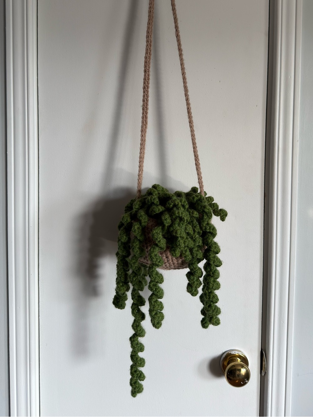 Crocheted Hanging Planter